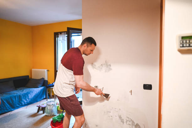 Best Residential Mold Removal  in Diand, MO