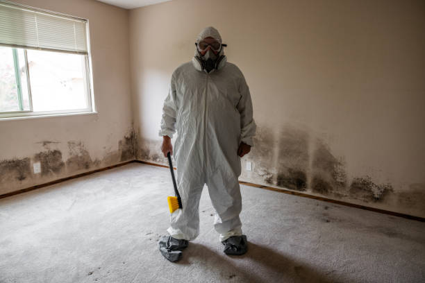 Best Mold Testing  in Diand, MO